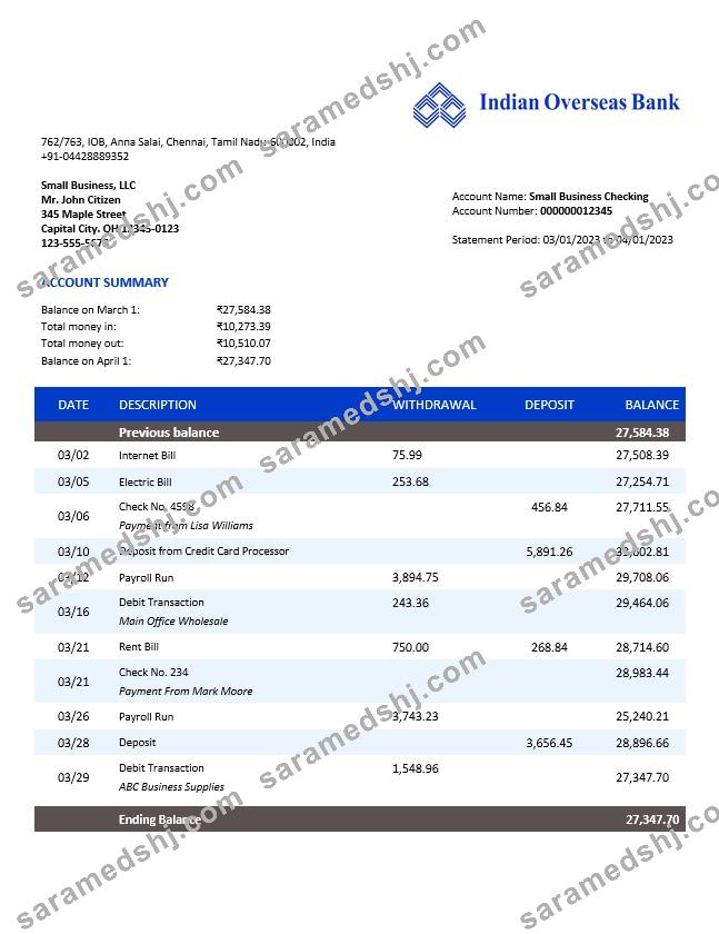 Indian Overseas Bank organization account statement Word and PDF template